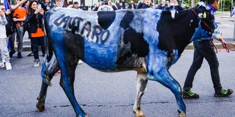 Mucca nerazzurra alla festa Inter: polemica infinita, ci sono novità