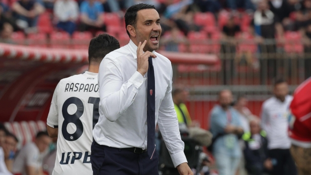 Palladino: "La sfida è tra Bologna e Monza, non tra me e Thiago Motta"