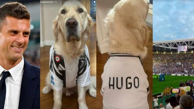 La Juve ha un nuovo tifoso speciale: è Hugo, il cane di Thiago Motta