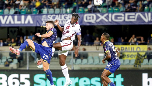 Verona-Torino, le pagelle: Dawidowicz perde la testa (4). Zapata dominante, 8