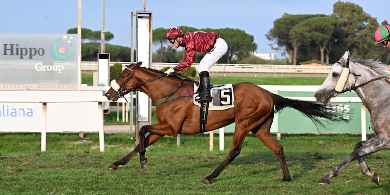 Allegri festeggia al Roma Champions Day: una vittoria e un secondo posto