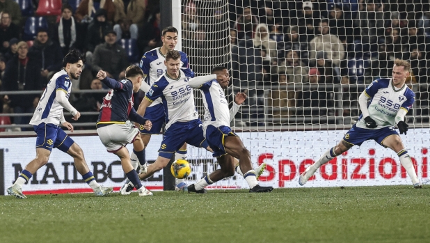 LIVE Bologna-Verona 1-2: gol di Tengstedt subito prima del riposo! I veneti ribaltano la gara