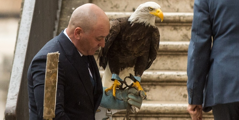 Il caso del falconiere della Lazio fa impazzire gli Stati Uniti: la spiegazione