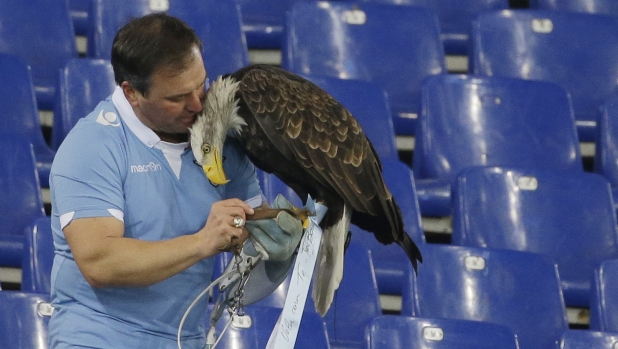 Lazio, il falconiere prova a resistere: è ancora a Formello e spera nel perdono di Lotito