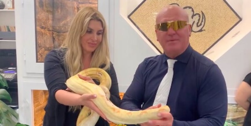 L’ex Lazio Juan Bernabé adotta un boa dopo l’aquila Olympia: “Si chiama Pamela come la Anderson” 1 L’ex Lazio Juan Bernabé adotta un boa dopo l’aquila Olympia: “Si chiama Pamela come la Anderson”