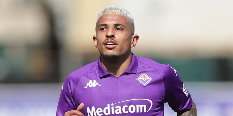 Fiorentina-Betis: l'amuleto Dodo, lo stadio pieno, la paura 1 Fiorentina-Betis: l'amuleto Dodo, lo stadio pieno, la paura