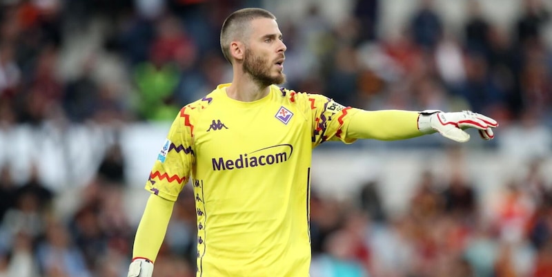 Fiorentina, a un passo il rinnovo di De Gea: la durata del nuovo contratto 15 Fiorentina, a un passo il rinnovo di De Gea: la durata del nuovo contratto