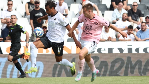 Più investimenti, ma meno punti rispetto a un anno fa: il paradosso della stagione del Palermo 1 Più investimenti, ma meno punti rispetto a un anno fa: il paradosso della stagione del Palermo