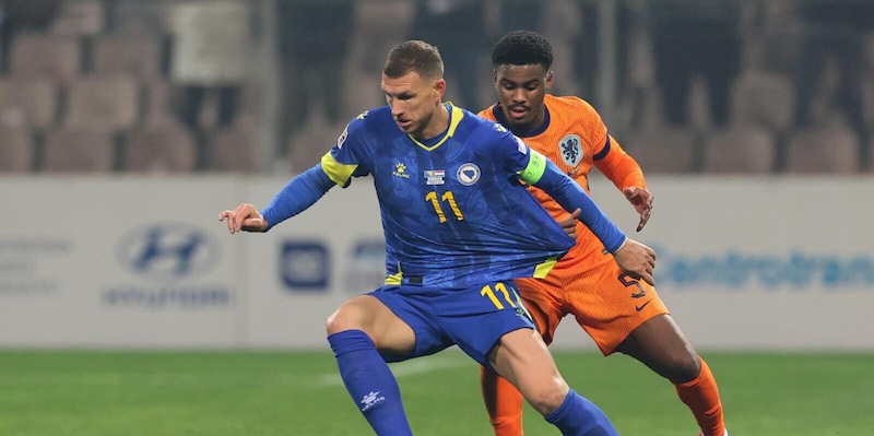 Daniele Arrigoni esclusivo: "Bologna, subito Dzeko" 15 Daniele Arrigoni esclusivo: "Bologna, subito Dzeko"