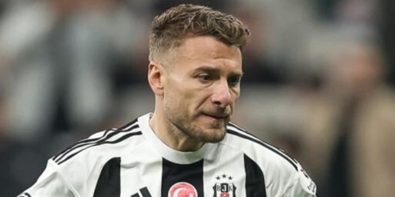 Immobile al Bologna: Ciro vuole convincere il Besiktas 16 Immobile al Bologna: Ciro vuole convincere il Besiktas