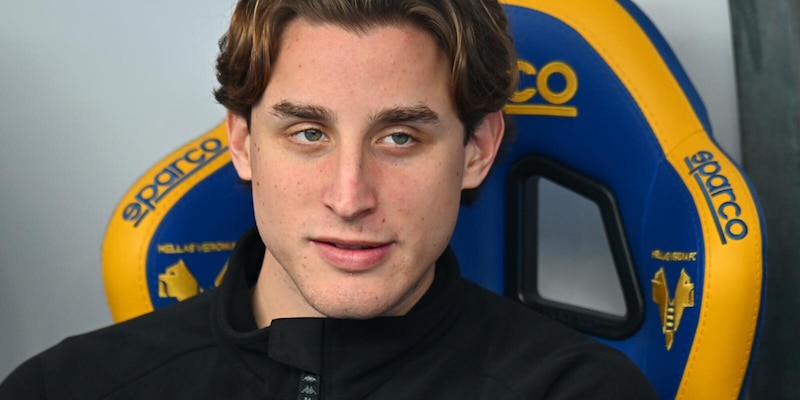 Bove rivede la luce: dal grande spavento a Sanremo e le lacrime dell'Olimpico. Ora Edo sogna il gran ritorno 15 Bove rivede la luce: dal grande spavento a Sanremo e le lacrime dell'Olimpico. Ora Edo sogna il gran ritorno