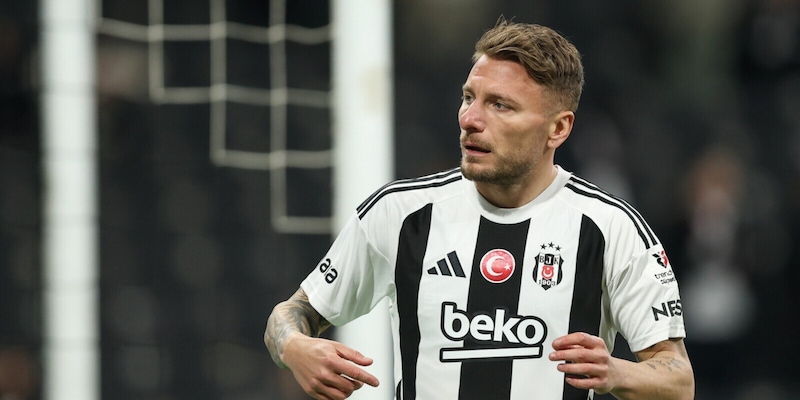 Calciomercato bollente: Bologna-Immobile, Napoli-Lucca, Genoa su Carboni, Como scatenato 14 Calciomercato bollente: Bologna-Immobile, Napoli-Lucca, Genoa su Carboni, Como scatenato