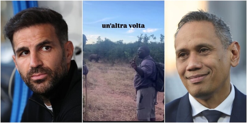 Fabregas all'Inter, la dura presa di posizione del presidente del Como: "Un'altra volta..." 14 Fabregas all'Inter, la dura presa di posizione del presidente del Como: "Un'altra volta..."
