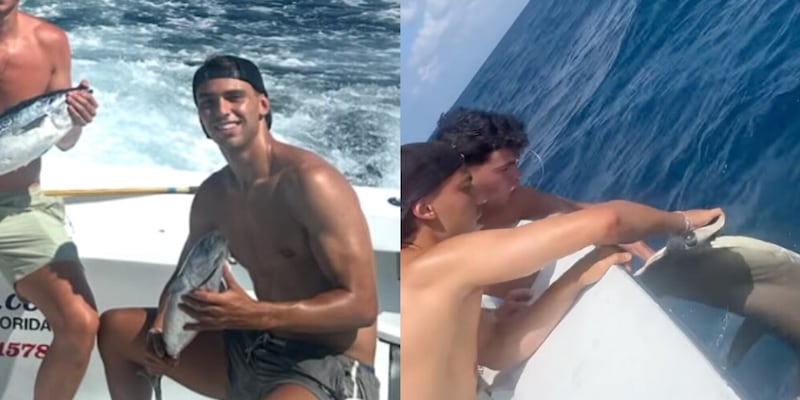 Bufera su Joao Felix: "Crudele verso gli animali". Cosa è successo 15 Bufera su Joao Felix: "Crudele verso gli animali". Cosa è successo