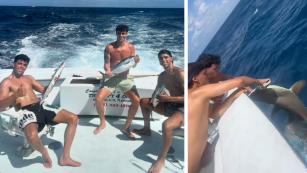 Joao Felix, bufera social: posta un video mentre pesca ed è polemica, "maltratta gli squali" 1 Joao Felix, bufera social: posta un video mentre pesca ed è polemica, "maltratta gli squali"