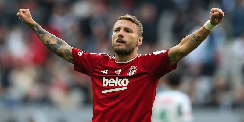 Bologna, dove eravamo rimasti? Dalla Coppa Italia all'Europa, con un Immobile in più 1 Bologna, dove eravamo rimasti? Dalla Coppa Italia all'Europa, con un Immobile in più