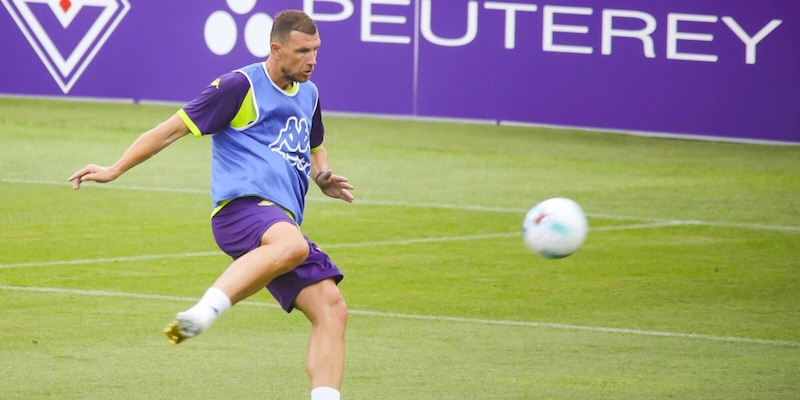 Amichevoli Serie A: goleada della Fiorentina, Dzeko segna alla prima. Vincono Parma e Verona 14 Amichevoli Serie A: goleada della Fiorentina, Dzeko segna alla prima. Vincono Parma e Verona