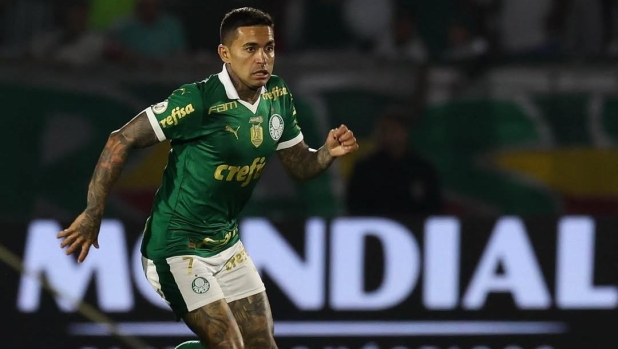 Insulti misogini alla presidente del Palmeiras, sei giornate di squalifica per Dudu