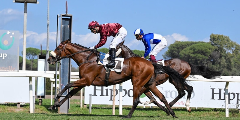 La Juve allo Stadium, Mr Darcy a Roma: Allegri, la domenica col cuore a metà
