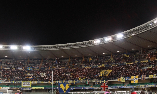 Nuovo stadio a Verona, lo studio di fattibilità presentato dall'Hellas