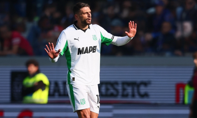 Berardi e il delfino di Venezia, quelli che non barattano la bellezza per la grandezza