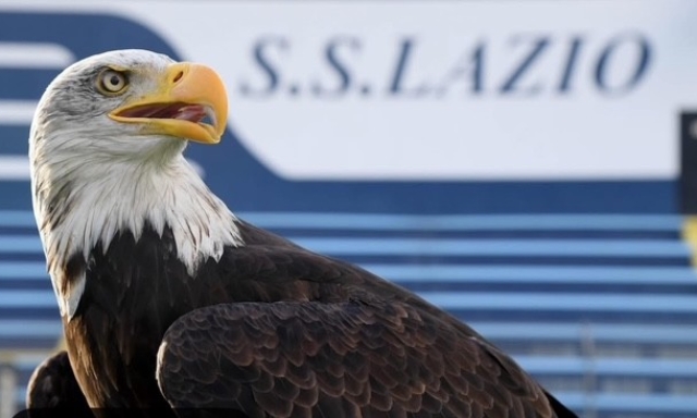 Dopo il caso-protesi peniena, la Lazio ha una nuova aquila. Ma il vecchio falconiere: "È sempre Olimpia"