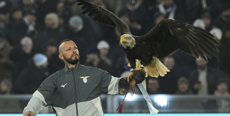 Lazio, l'aquila Flaminia ancora non vola all'Olimpio: ecco quando potrà farlo