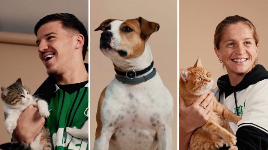 Il Sassuolo presenta il calendario 2026: lo spot con cani e gatti è dolcissimo