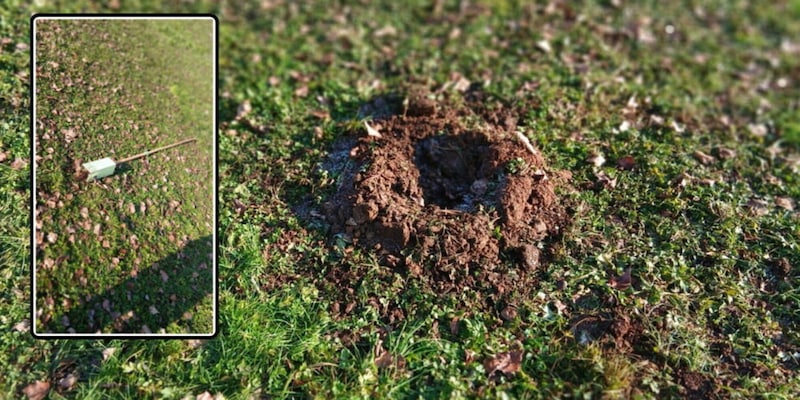 Sradicato l'albero dell'Athletic: l'ira di Bergamo contro gli idioti autori del gesto
&nbsp;