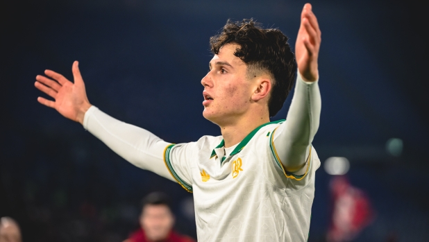 Non solo Arena, il 2009 è un anno doc: ecco tutti quelli pronti a esplodere