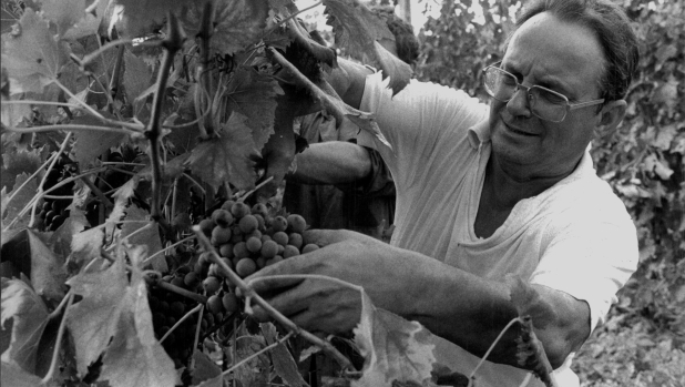 La maledetta estate in cui tutti odiavano Fabbri e lui scappò in convento