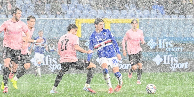 Sampdoria beffata, il Palermo pareggia al 92': finisce 3-3 sotto la pioggia di Marassi