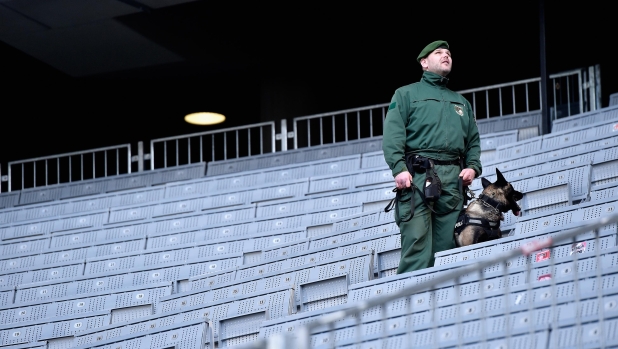 "Deterrenti a quattro zampe": i cani e lo stadio, una storia lunga 50 anni