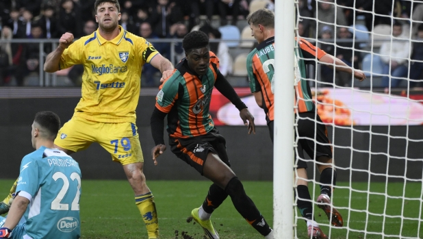 Il pagellone della Serie B: Venezia in fuga per la A, 8. Rinascita Samp, 7