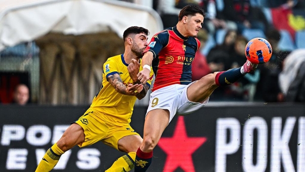 Verona-Genoa, il pronostico della sfida salvezza del Bentegodi