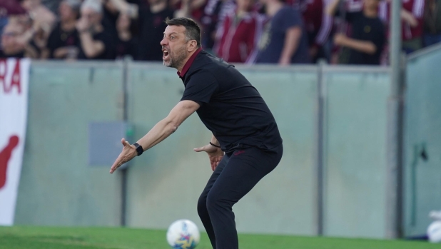 D'Aversa: "Risultato fondamentale che ci avvicina al nostro obiettivo"