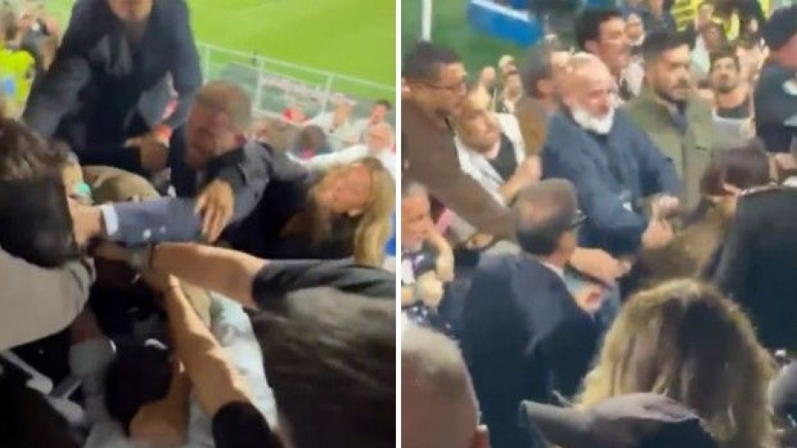 Palermo-Catanzaro, rissa in tribuna tra dirigenti e tifosi: ecco cosa è successo